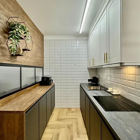 Silesia Prime Nowoczesny Belg W Sercu Katowic