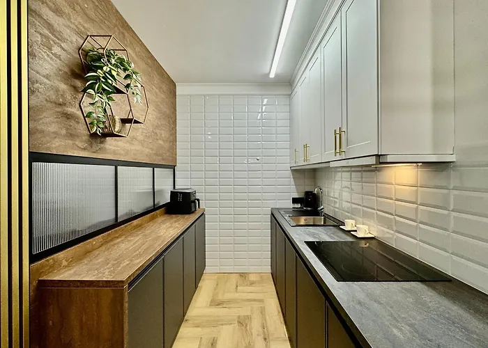 Silesia Prime Nowoczesny Belg W Sercu Katowic